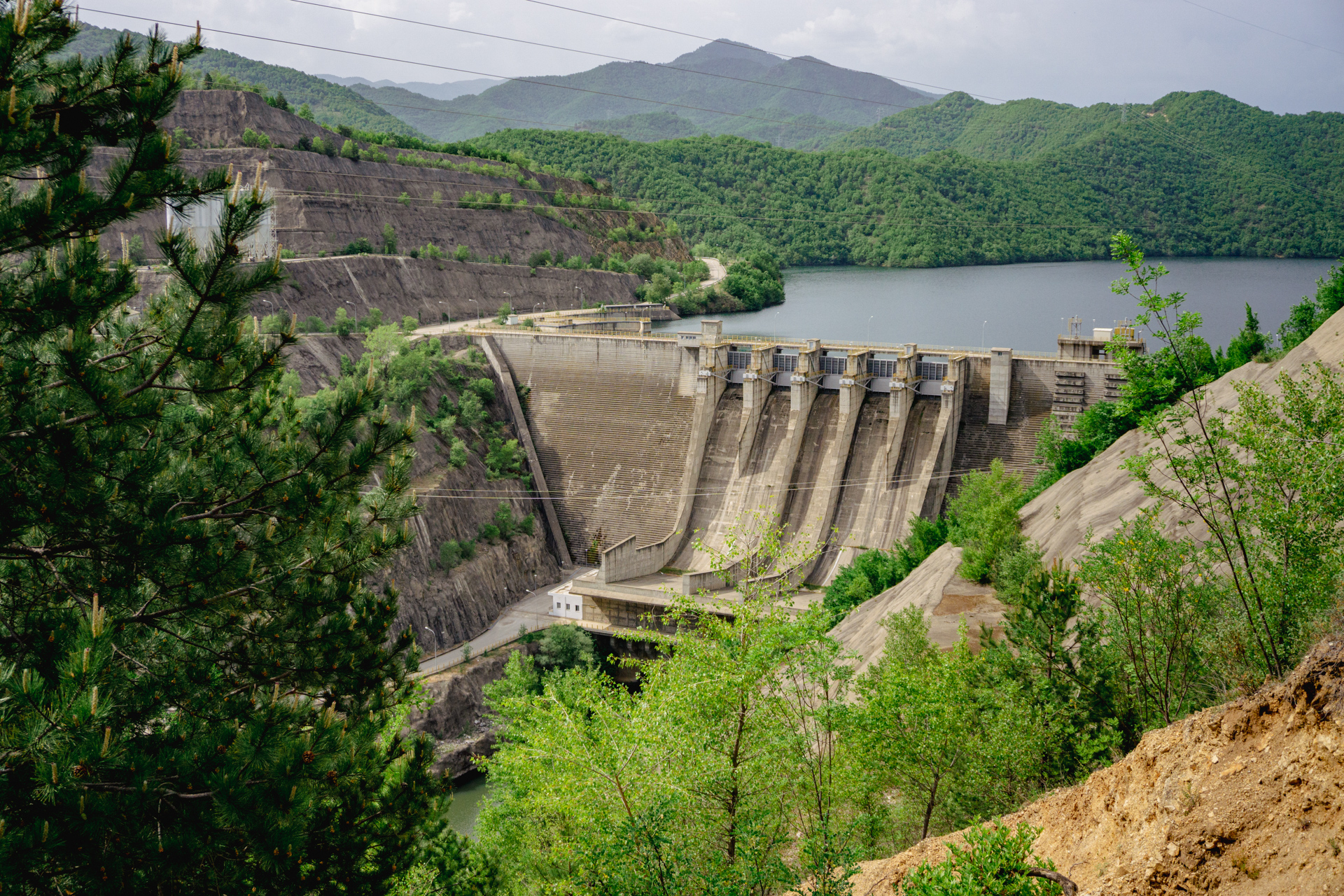 fragma platanovrysis